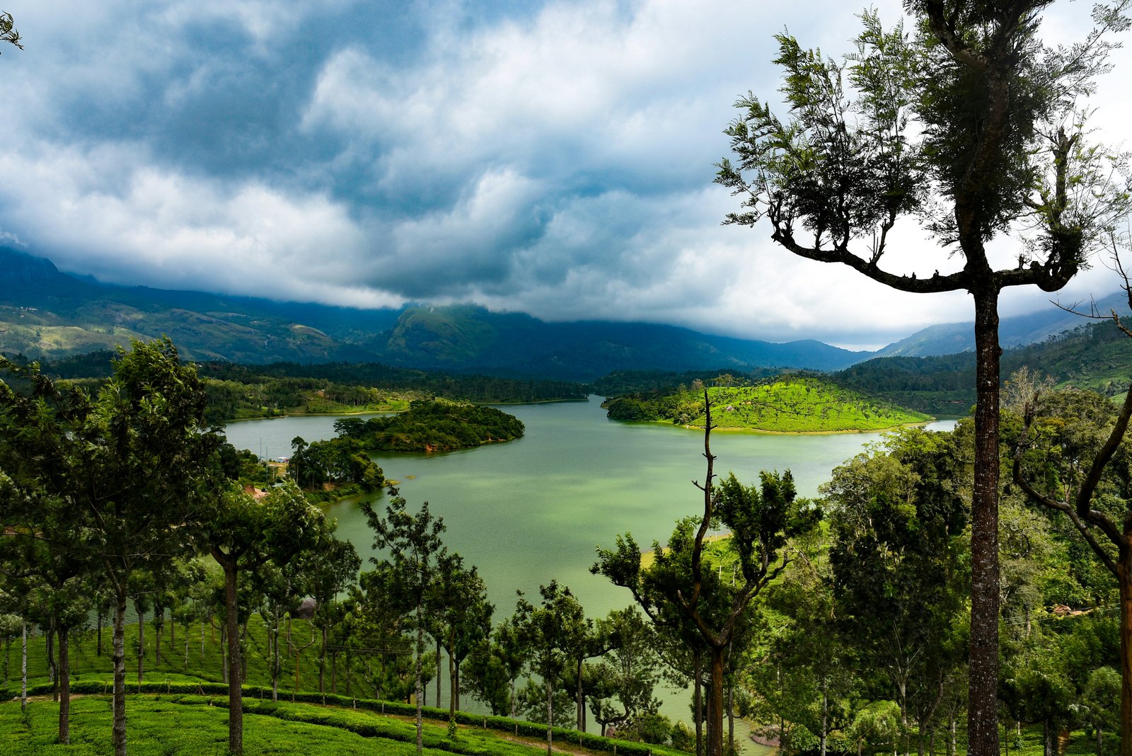 Wayanad